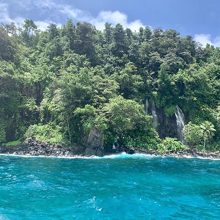 מאטיי Taveuni Palms Resort מראה חיצוני תמונה