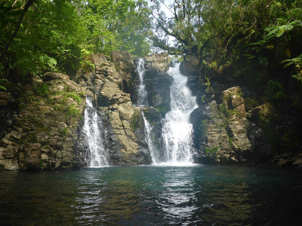 מאטיי Taveuni Palms Resort מראה חיצוני תמונה